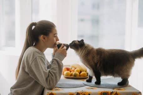 Kocia kawiarnia – czy kawa smakuje lepiej w towarzystwie kota