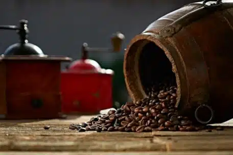 Kawa ziarnista Kimbo - czym się charakteryzuje?