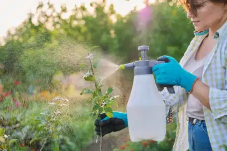 Jak wybrać odpowiedni fungicyd do zwalczania chorób grzybowych